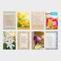 Easter Assortment - 24 Boxed Cards and Envelopes