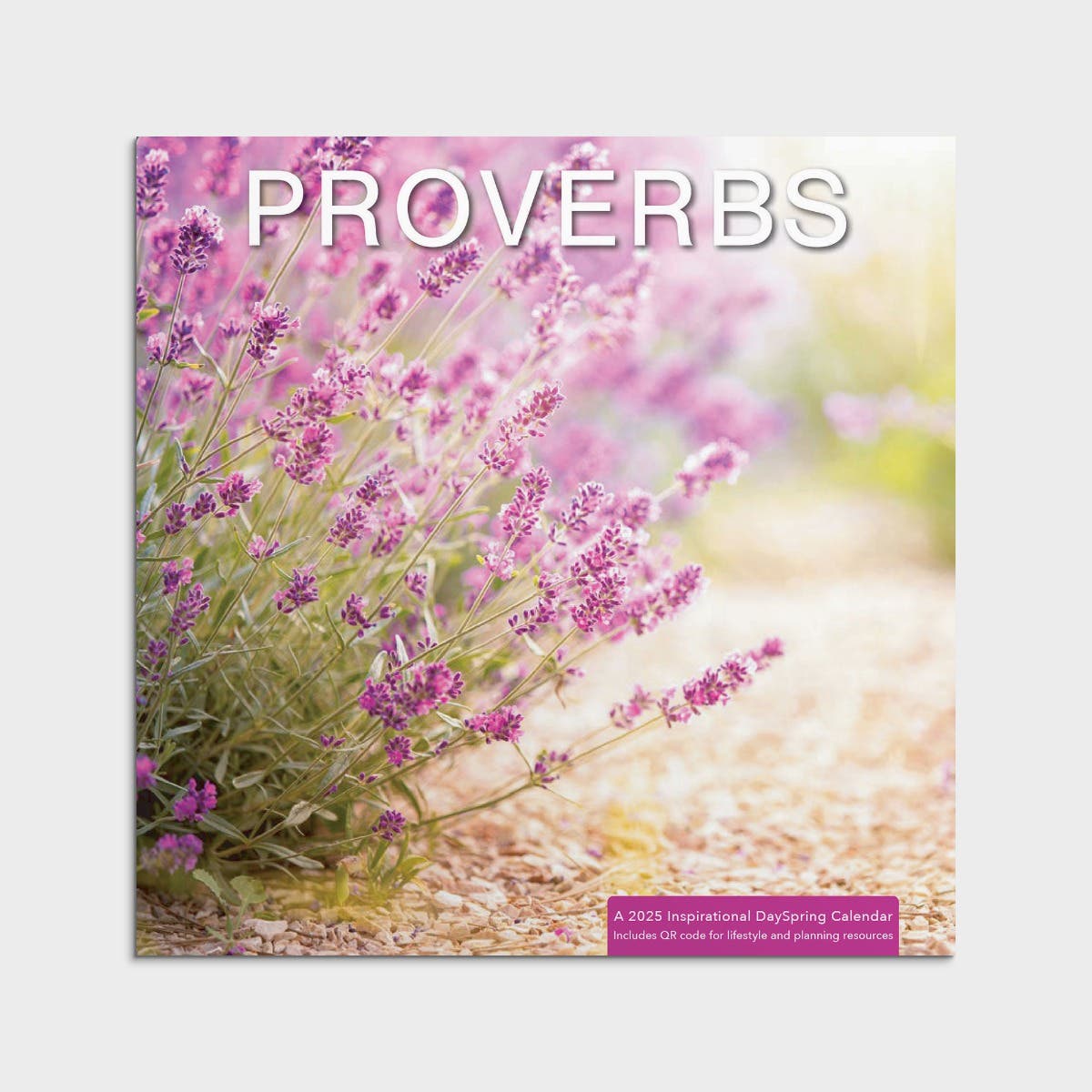 2025 Proverbs Wall Calendar Scripture DaySpring