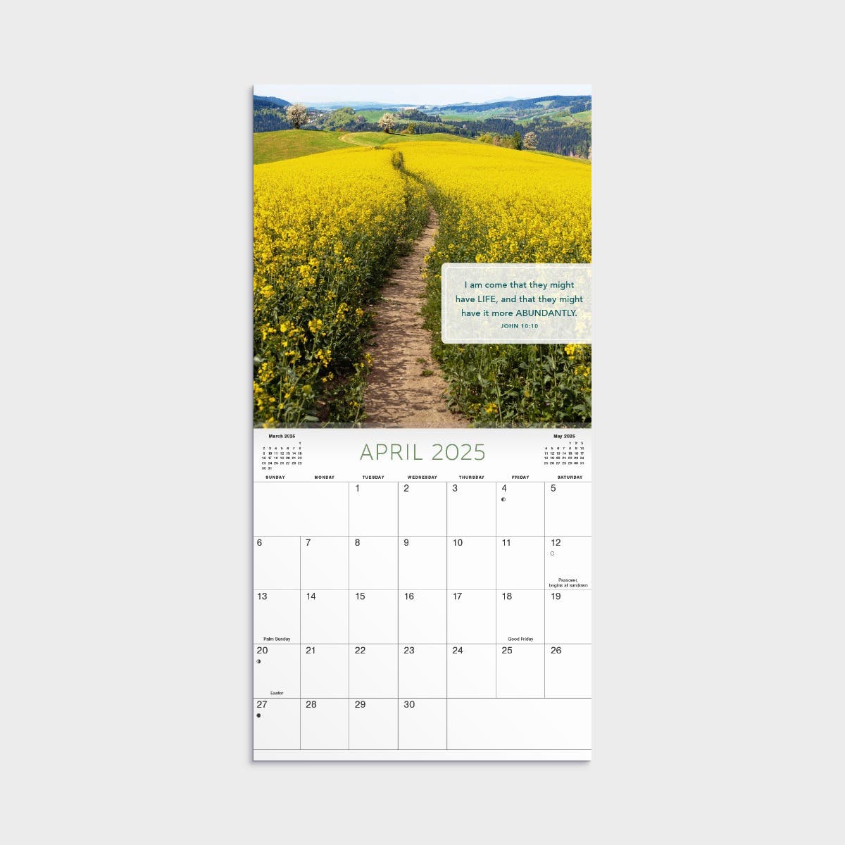 2025 Bible Verses Mini Wall Calendar Scripture DaySpring