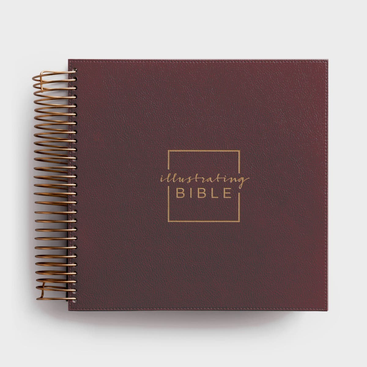 CSB - Illustrating Bible - Cranberry