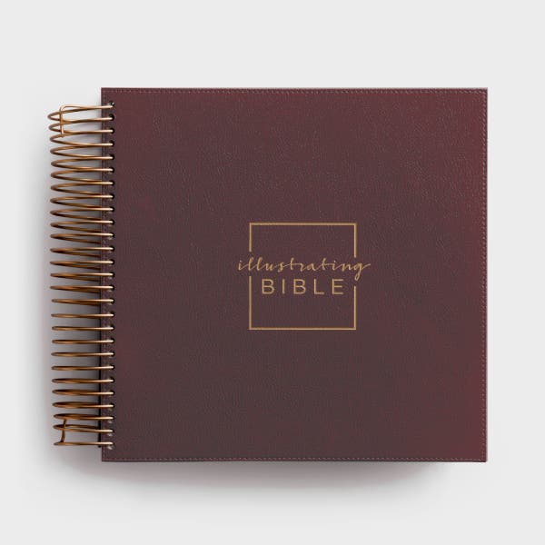 CSB - Illustrating Bible - Cranberry