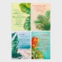 Max Lucado - Birthday - Botanical Art - 12 Boxed Cards and Envelopes