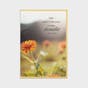 Praying for You - Tony Evans - 12 Count Boxed Cards and Envelopes