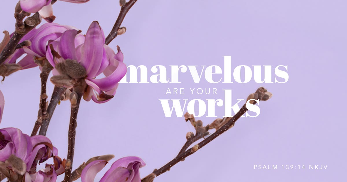 He Made You Marvelous