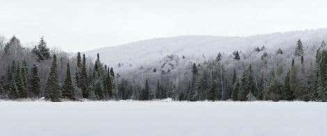 In the Bleak Midwinter 