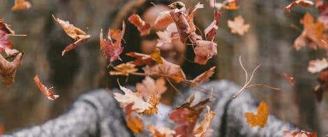 Letting Your Leaves Fall