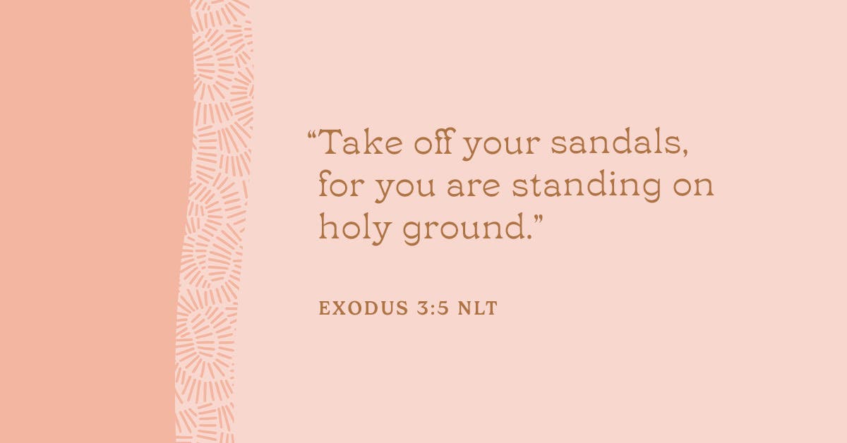 The Nearness of God