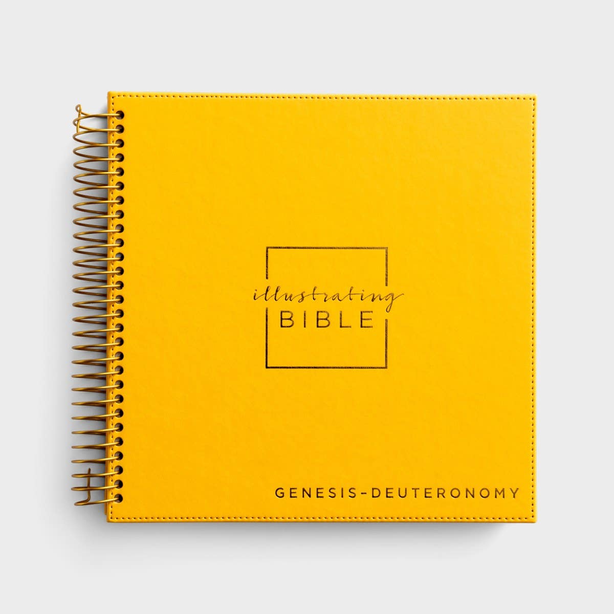 NIV - Genesis to Deuteronomy - Illustrating Bible