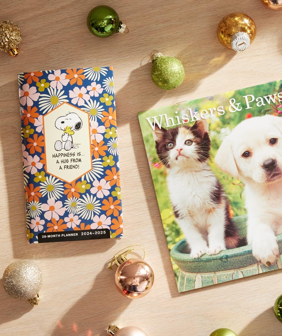 Shop Calendars and Planners